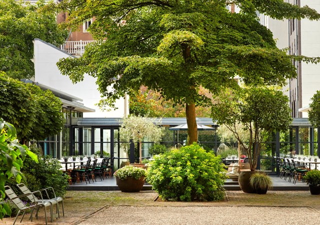 A serene courtyard featuring lush trees and inviting chairs arranged in the center for relaxation and enjoyment.