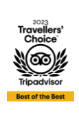 Minimalist TripAdvisor icon, symbolising travel and exploration.