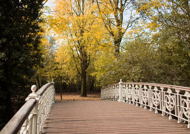 A charming bridge nestled in a park, adorned by golden-yellow trees, capturing the essence of fall's beauty.