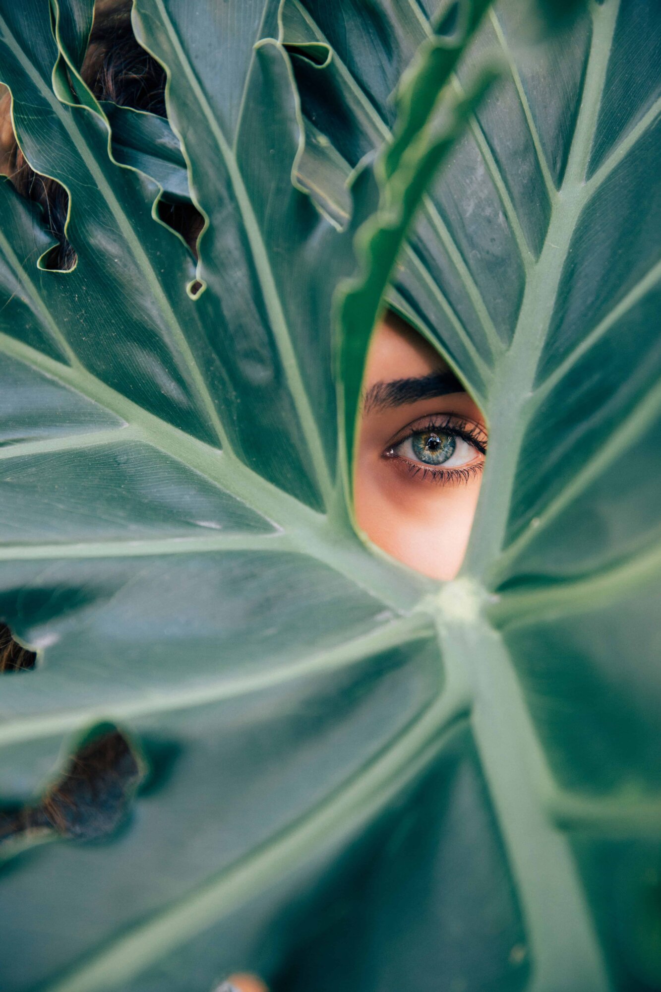 A woman partially hidden, peeking out from behind a large green leaf, creating a sense of curiosity and intrigue.